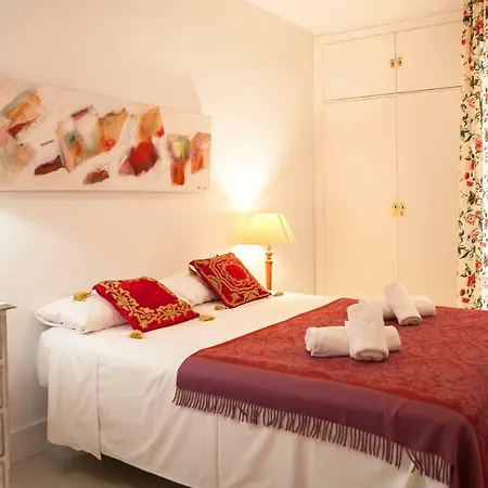 Gran Apartamento Plaza De Espana *